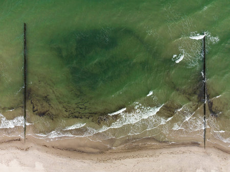Beach and groynes at the Baltic Sea, overhead drone view