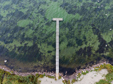 Wooden jetty at Baltic Sea coast of Danish island Lolland, aerial viewの写真素材