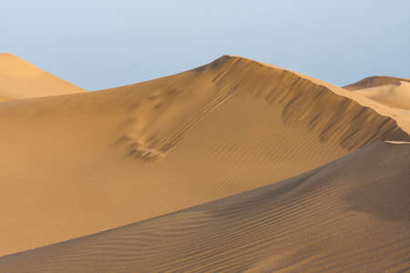 Golden dune at Maspalomas, Gran Canaria, Canary Islands, Spainの写真素材
