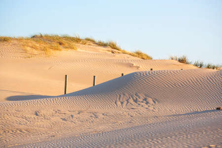 Dunes at Normandy beach in evening sunlightの写真素材