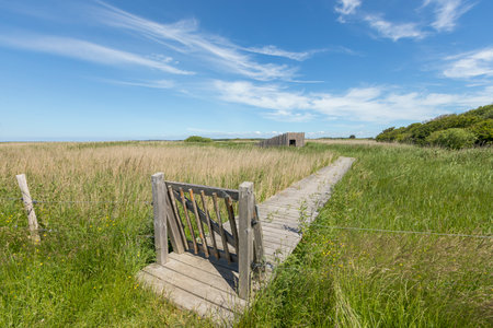 Entrance to observation hide at Tryggelev Nor bird sanctuary, Langeland, Denmarkの写真素材