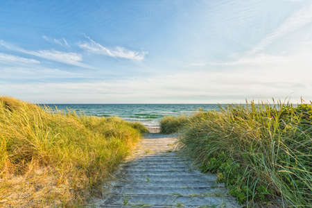 Wooden path to Hesselbjerg Strand Baltic Sea beach at Ristinge, Langeland, Denmarkの写真素材