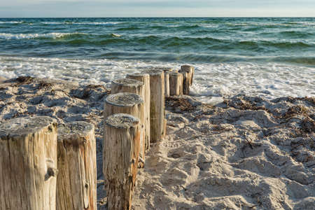 Weathered wooden stakes of breakwater at Baltic Sea beach in Denmarkの写真素材