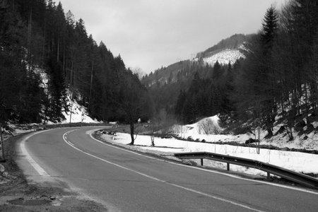 road in slovakyの写真素材