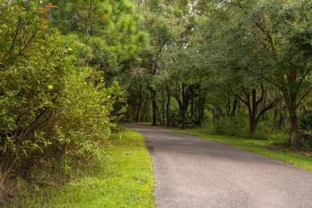 The trail sits in between the shadow of the autumn foliage at the New Tampa Nature Park an Autism...