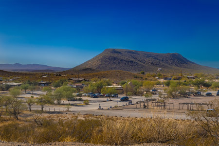 The Catalina Mountains rise majestically behind a foreground of Saguaro cacti and desert flora, creating an iconic Tucson landscape. The vibrant colors of the desert landscape highの写真素材