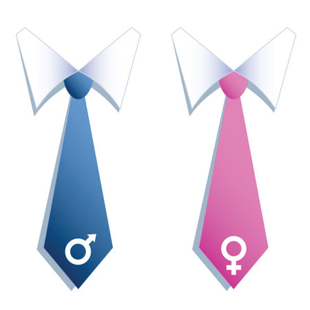Blue And Pink Neckties Of Business Man And Woman With Male And