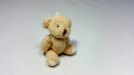 Teddy bear side shotの写真素材