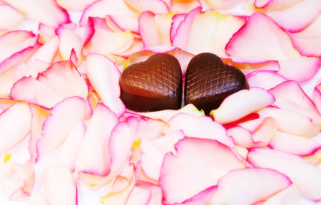 Tender Love - two chocolate hearts over rose petals. の写真素材