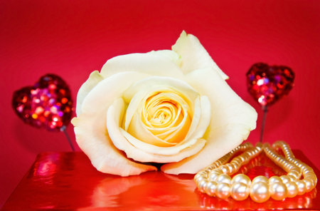 Passionate love - white rose and vintage pearls over redの写真素材