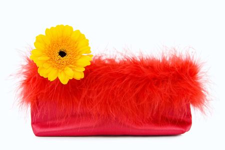 Glamour Girl - vintage red silk evening bag with feathers and Gerbera yellow flower. Isolated on light background. の写真素材