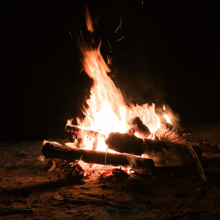 Bonfire at the Beachの素材