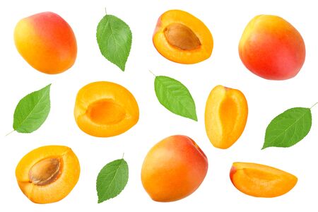 apricot fruits with slices and green leaf isolated on white background. top viewの写真素材