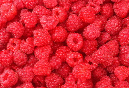 healthy background. Fresh and sweet raspberries background