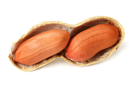 Dried peanuts isolated on white background. Food