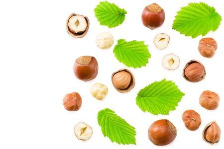 hazelnuts with leaves isolated on white background. top viewの写真素材