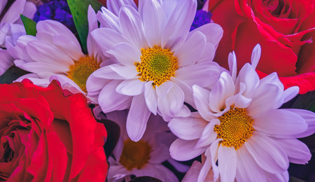 A beautiful bouquet of tender flowers of red roses, white asters with yellow hearts, and decorative green leaves. Celebration, banquet decoration, holidays, floristry, passion.の写真素材