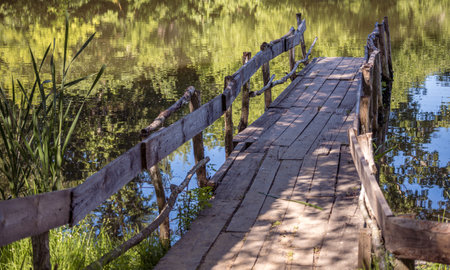 A wooden plank bridge on a lake with reflections on the water surface. Lakeshore covered with reeds and lush grass. Meditation, relaxation in nature, travel, hike, wooden constructions.の写真素材