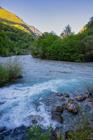 Rushing flow of a mountain river through the valley in springtime. Stones and lush green on the...