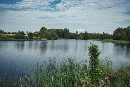 Lake with a reflective surface and reeds on its shores. Trees in the background against a cloudy sky. Rural landscape.の写真素材