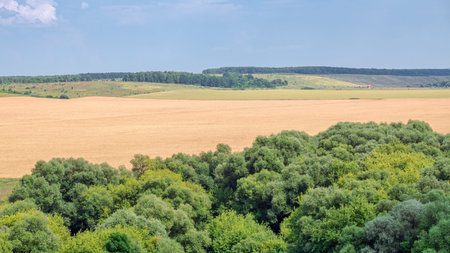 A wide view of an agricultural field with trees and a small rural house in the background. Photo from the hilltop above the treetops in the background.の写真素材