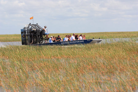 Sawgrass recreational park in Everglades airboat safari with tourists のeditorial素材
