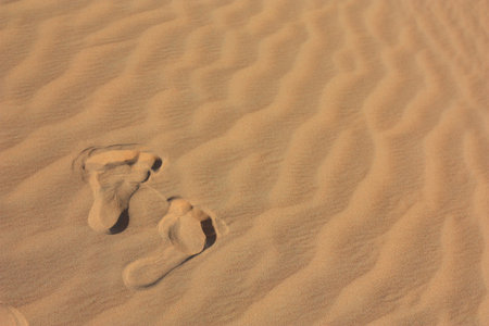 footprints on the sand in the desertの写真素材