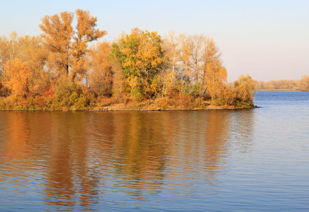 yellow trees on the river islandの写真素材