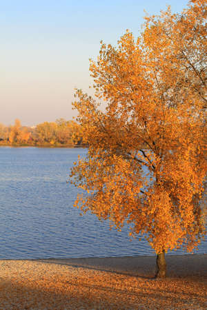 autumn beach in kievの写真素材