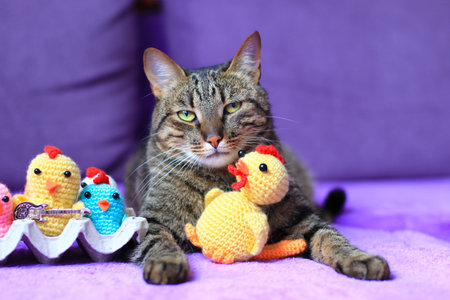 tabby cat with a crochet toyの写真素材