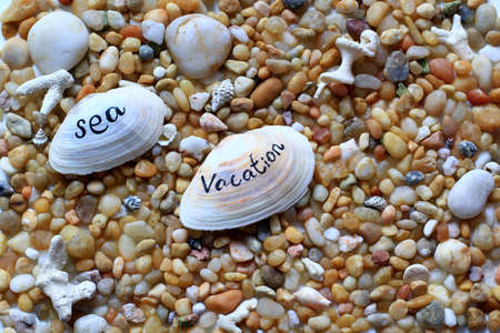 pebbles, stones and sea shells on the beach - vacation backgroundの写真素材