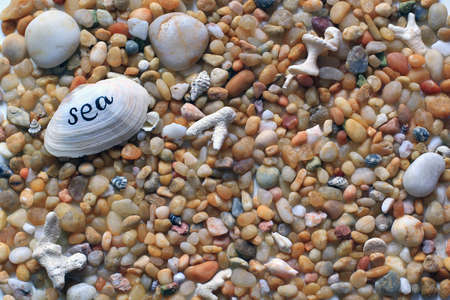 pebbles, stones and sea shells on the beach - vacation backgroundの写真素材