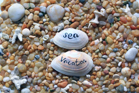 beach pebbles, stones, sea shells background - vacationの写真素材