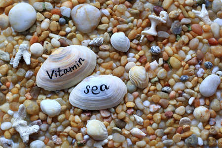beach pebbles, stones, sea shells background - vitamin seaの写真素材