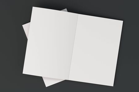 Two blank white open brochure mock-up on black background. Magazine spreads template. 3D rendering illustrationの写真素材