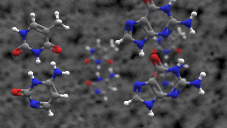 Nucleobases in the nucleic acid of DNA or RNA. Adenine, Guanine, Thymine and Cytosine. 3D rendering illustrationの写真素材