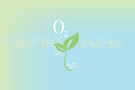 Plant life producing oxygen, equation of photosynthesis のイラスト素材