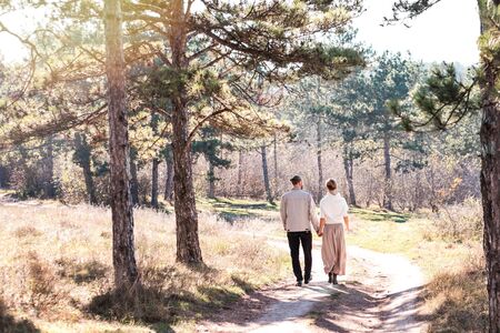 Happy couple walking in the autumn forest. Sunny day, pine forest and beautiful lovers.の写真素材