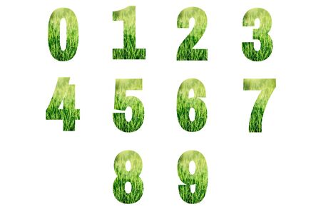 Numbers made from green grass isolated on white background.の写真素材
