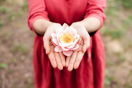 Beautiful woman hands holding water lily flower.の写真素材