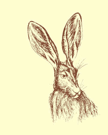 Ilustración de Hand drawn hare portrait made in vector. - Imagen libre de derechos