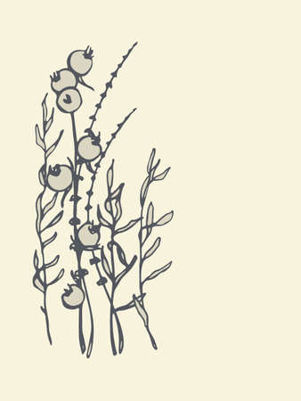 Vector card with hand drawn branches of wild plants. Invitation or greeting card. Cool design elements.のイラスト素材