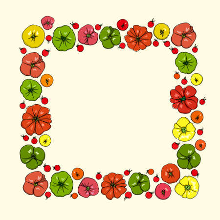 Vector square frame with hand drawn ripe colorful tomatoes. Vegetarian, healthy food illustration. Beautiful design elements.のイラスト素材