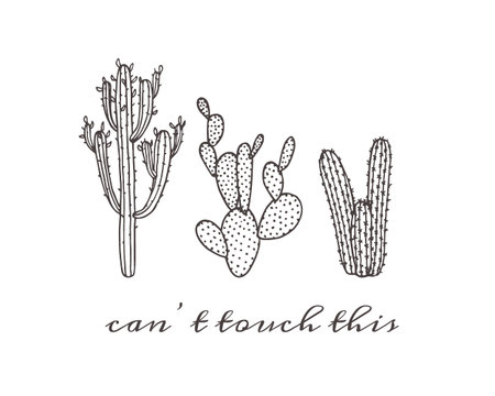 illustration of hand drawn cactus. Beautiful floral drawing.のイラスト素材
