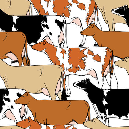 Vector seamless pattern with hand drawn dairy cattle breeds.  Beautiful ink drawing of dairy cows.のイラスト素材