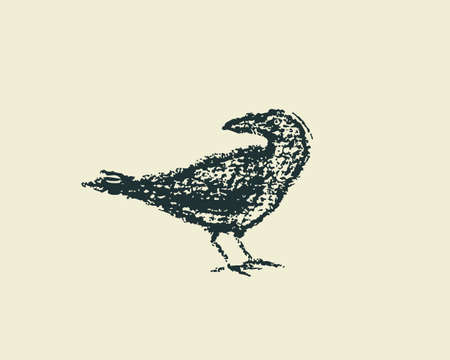 illustration of hand drawn city bird. Raven hand drawn with chalk. Beautiful design elements.のイラスト素材