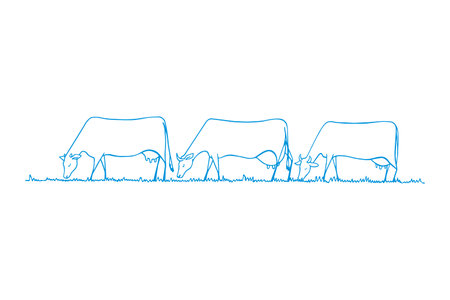 Vector illustration of hand drawn cow herd eating fresh grass on a meadow. Horizontal layout, cute animal characters.のイラスト素材