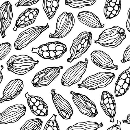 Vector seamless pattern with hand drawn cardamom seeds. Beautiful food design elements, perfect for any business related to the food industry.のイラスト素材
