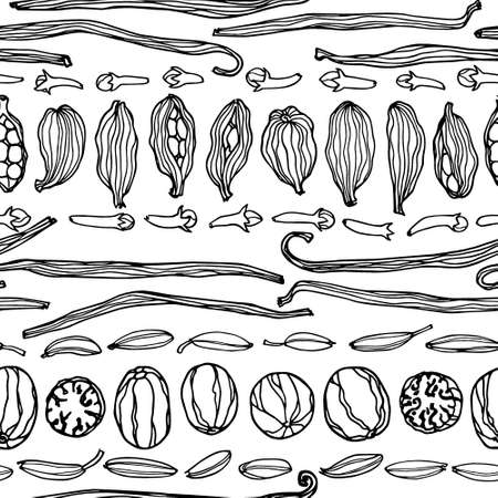 Vector seamless pattern with hand drawn spices. Beautiful food design elements, perfect for any business related to the food industry.のイラスト素材