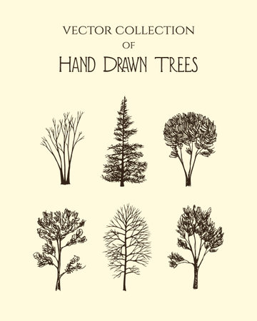 Vector graphic set of hand drawn trees made in graphic style. Beautiful ink drawingのイラスト素材